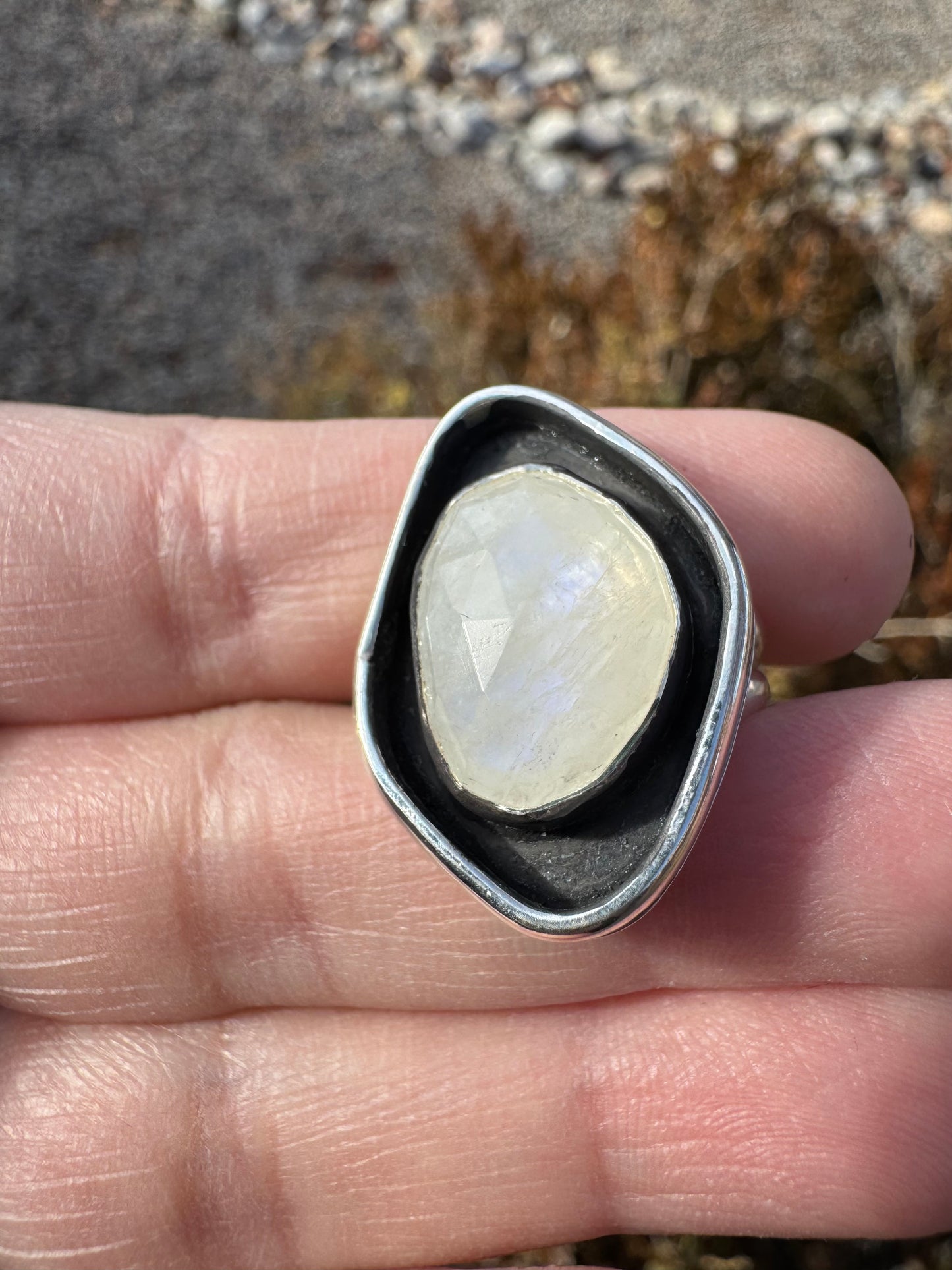 Moonstone Shadowbox Ring (Sz 4-4.25)